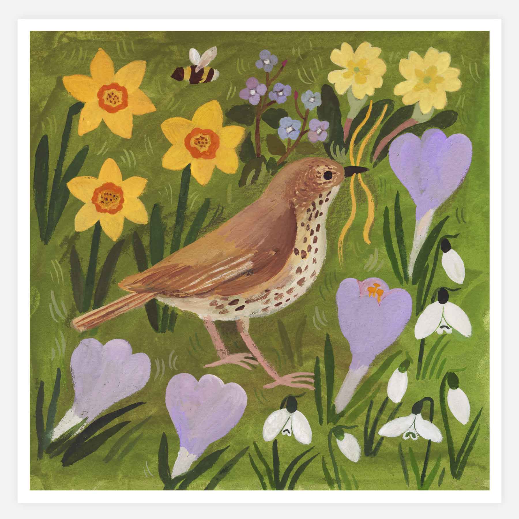 Song Thrush and Spring Flowers Print