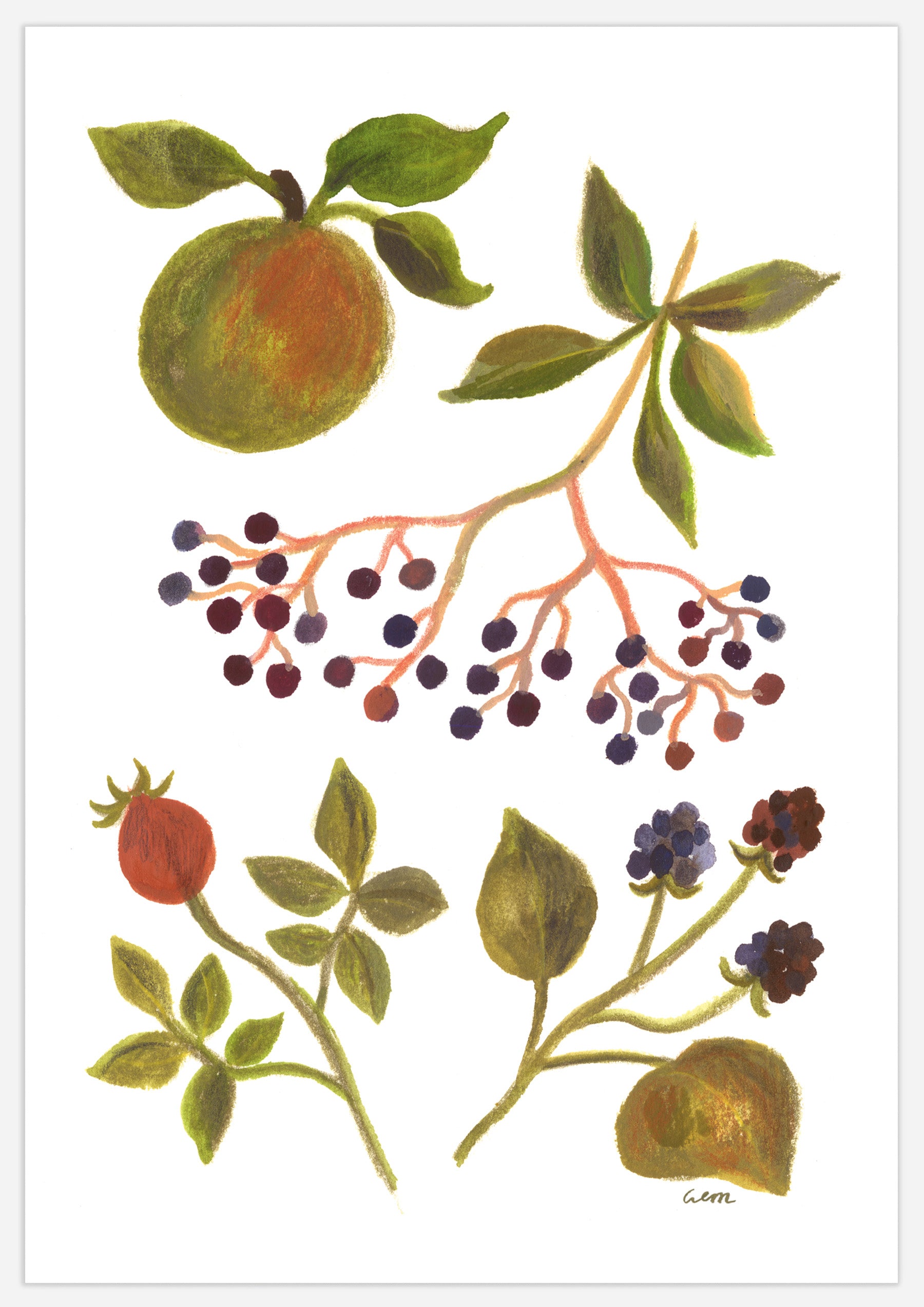 Autumn Fruits Print