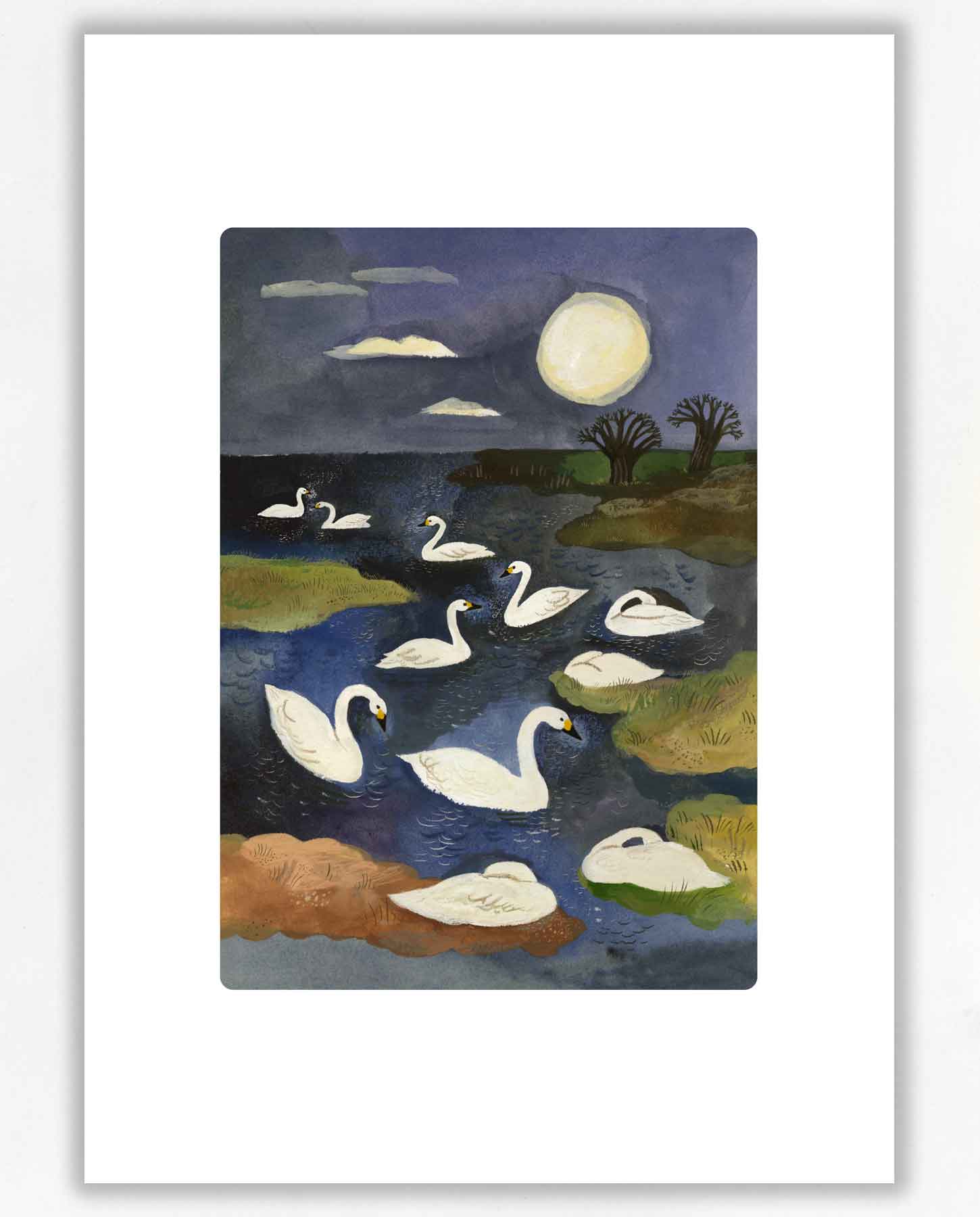 Bewick Swans print