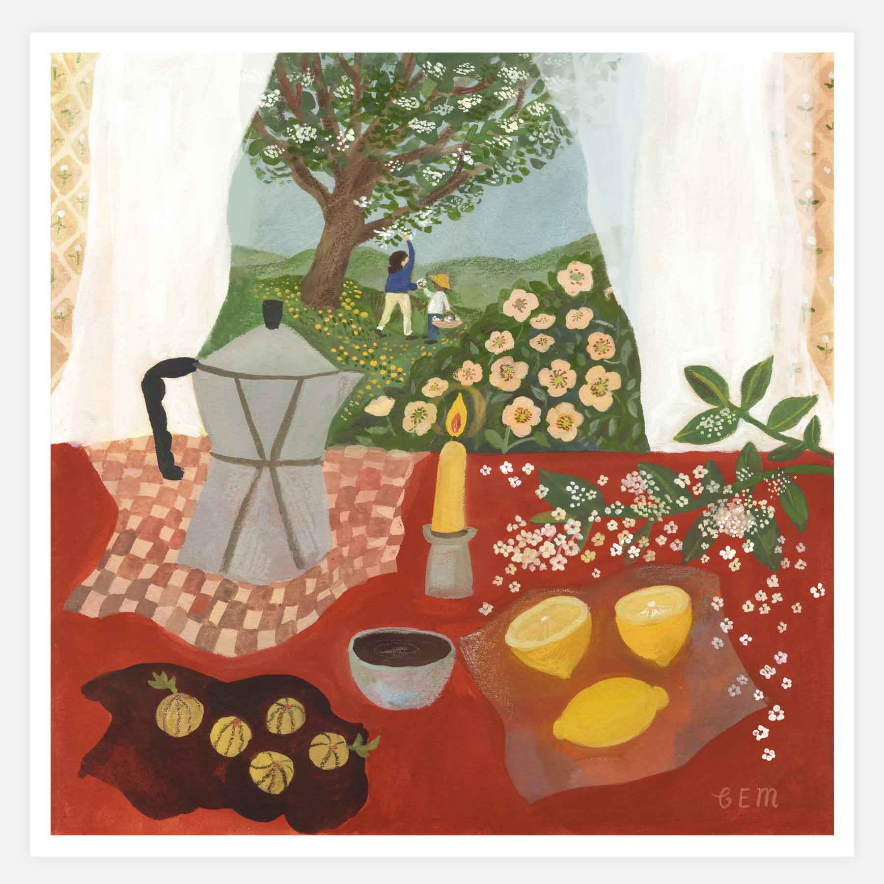 Elderflower Season Print