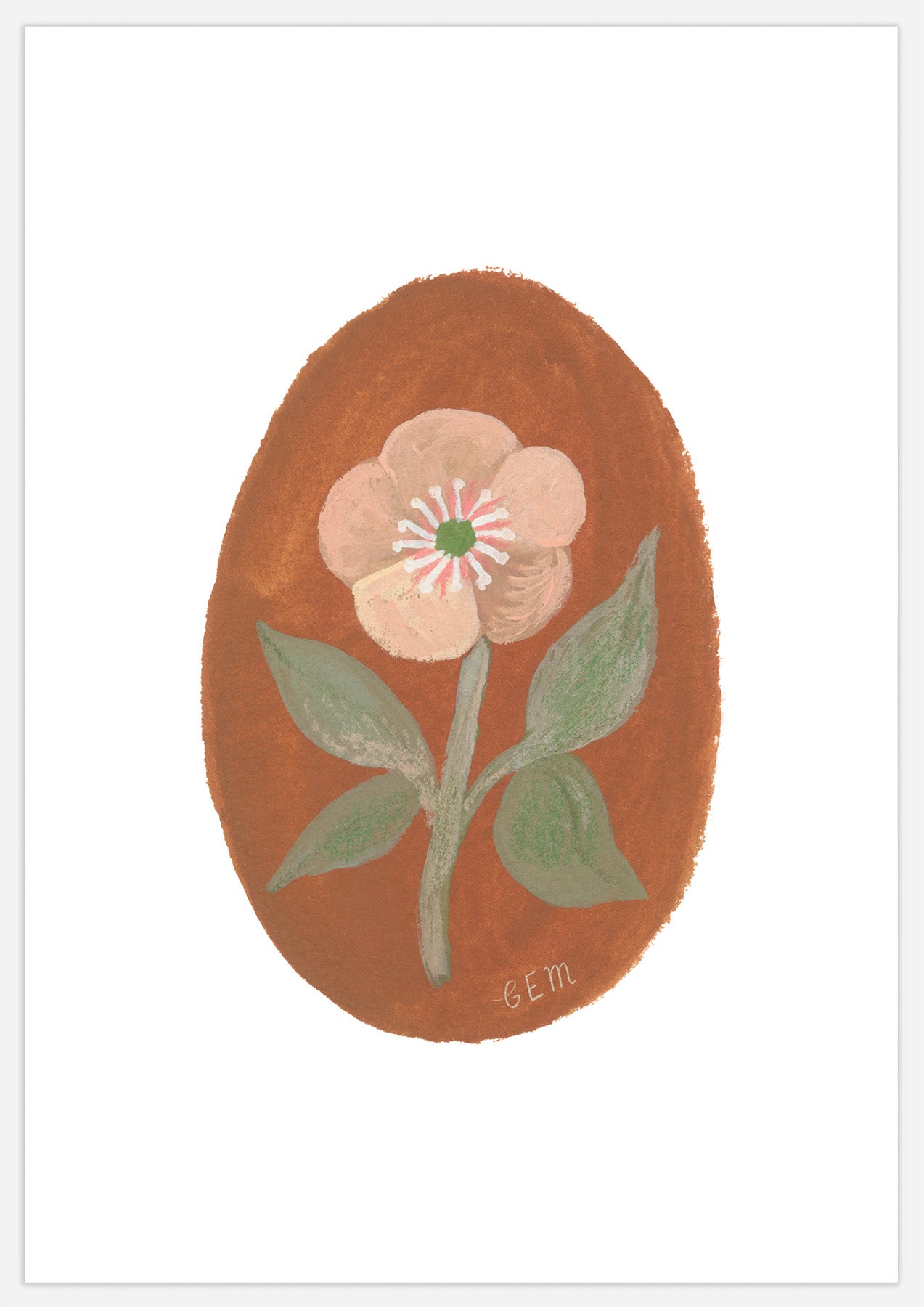 Hellebore Print