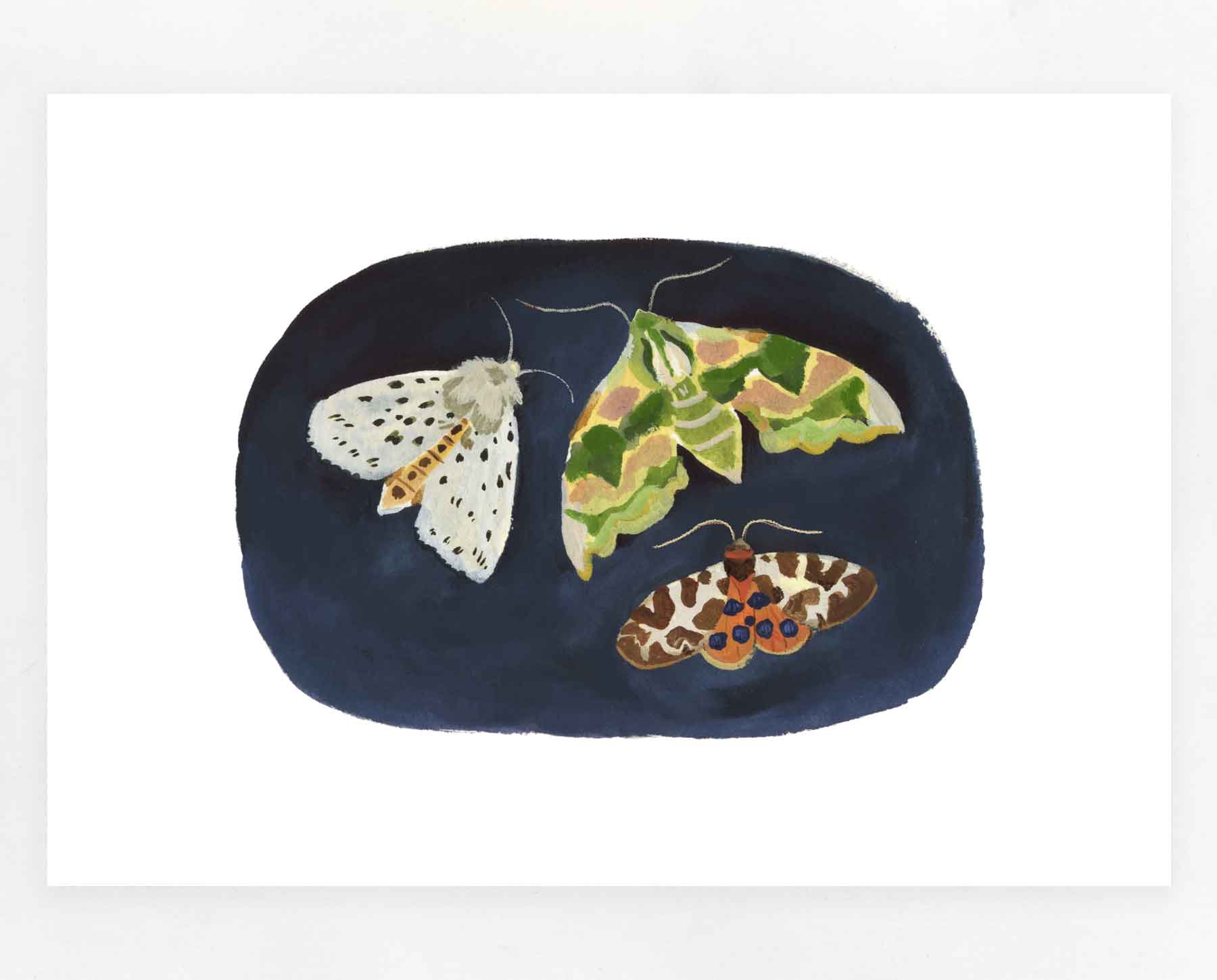 Moths Print