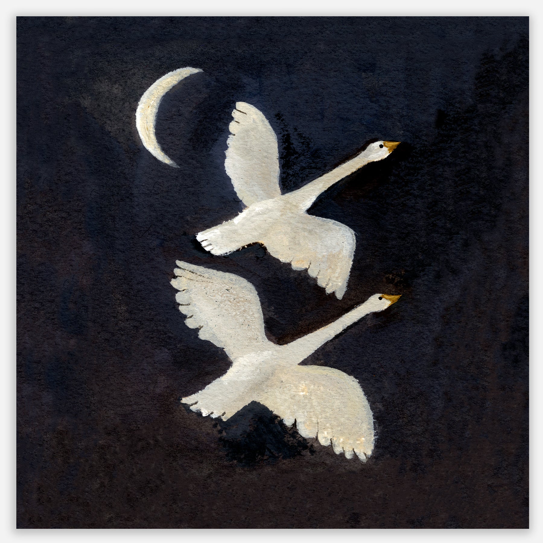 Whooper Swans Print