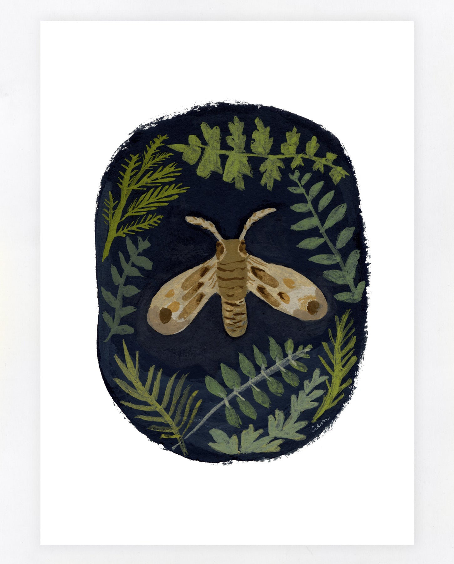 Moth 5x7
