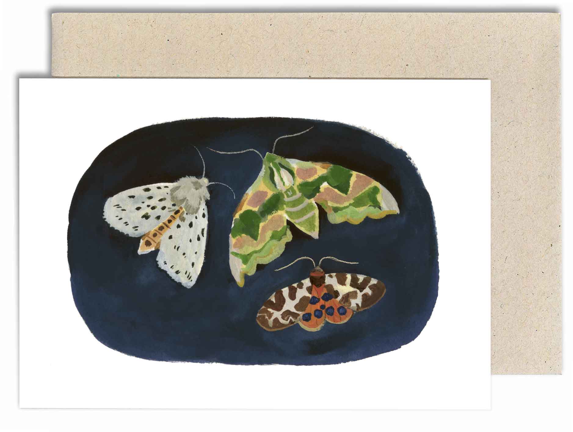 Moths Card