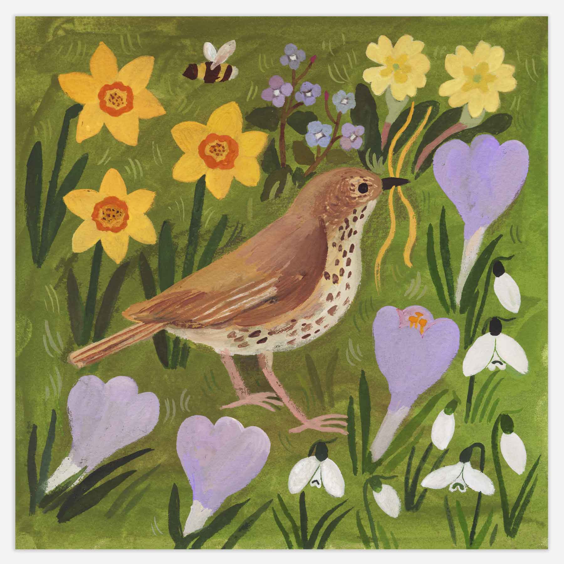Song Thrush and Spring Flowers Print
