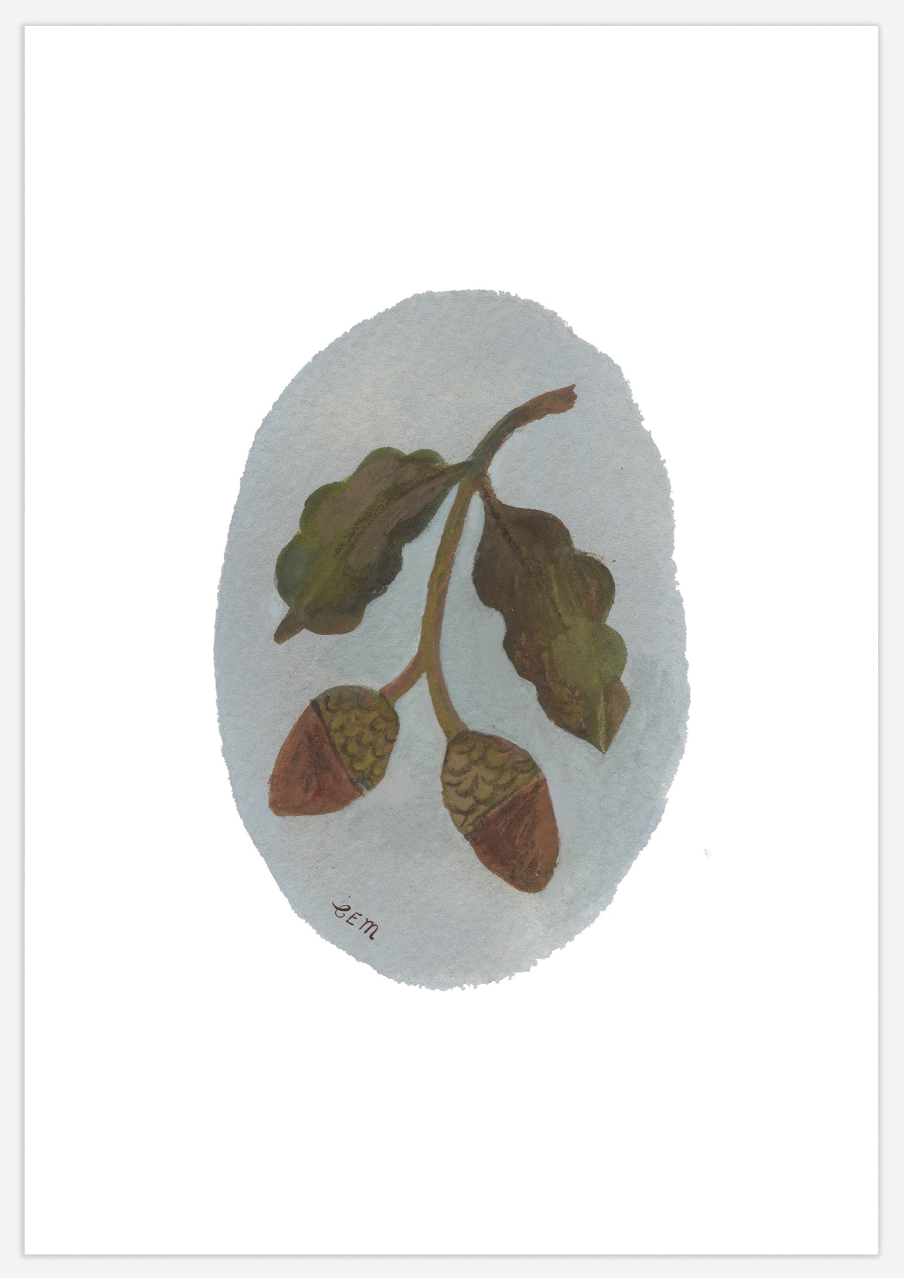 Acorn Print