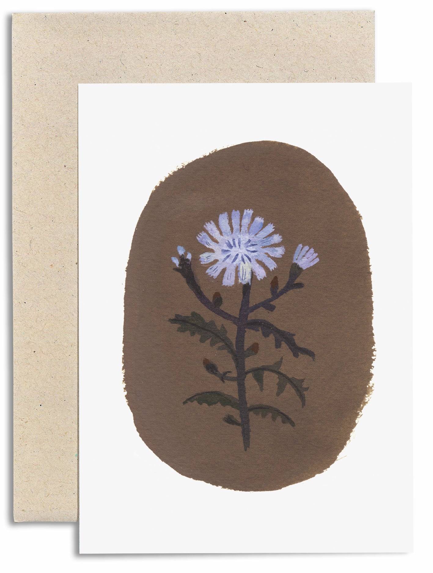Chicory Card