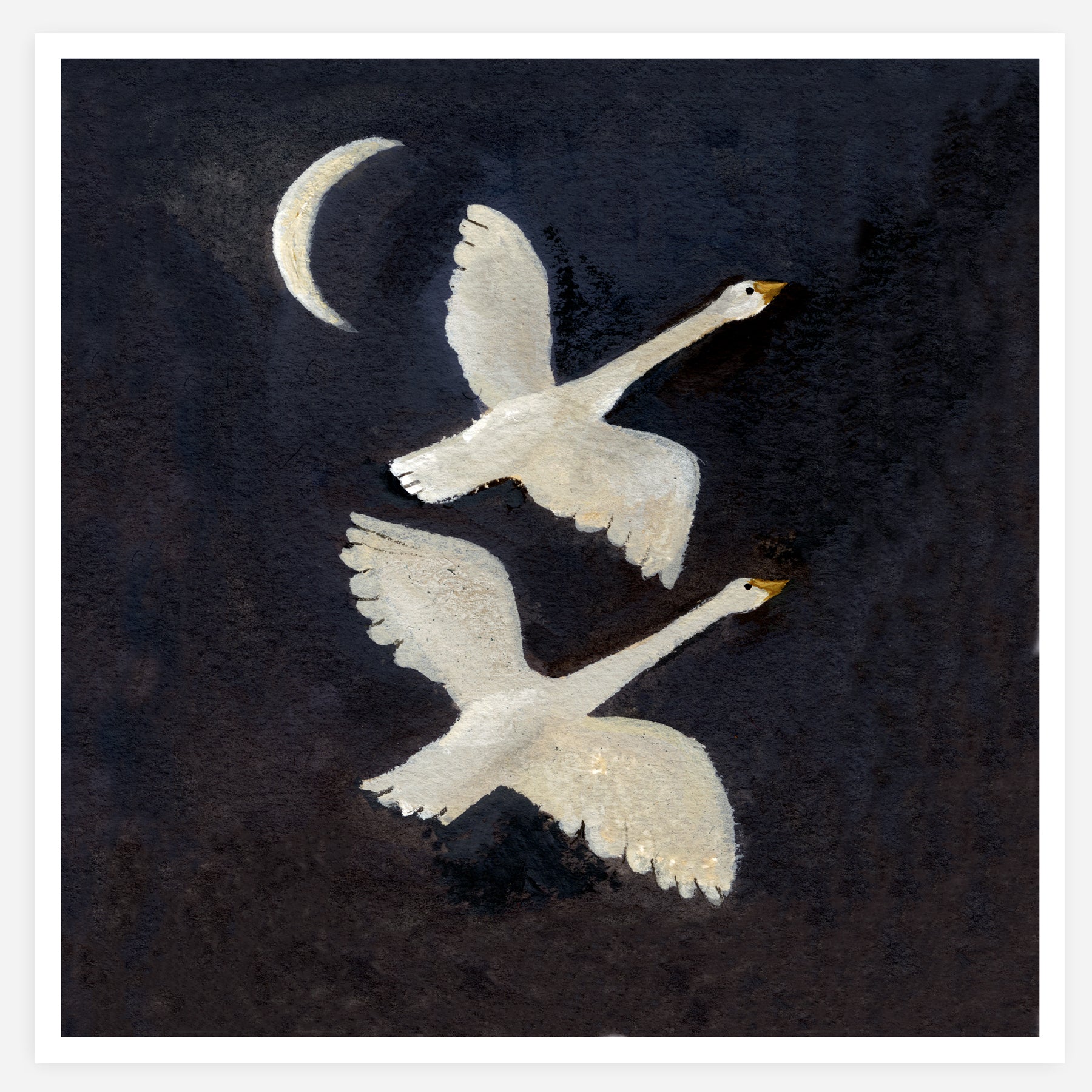 Whooper Swans Print